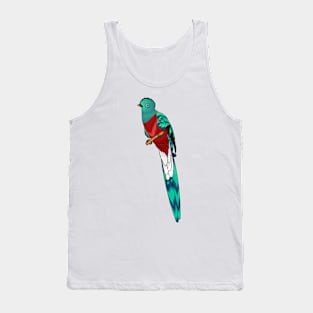Resplendent quetzal bird cartoon illustration Tank Top